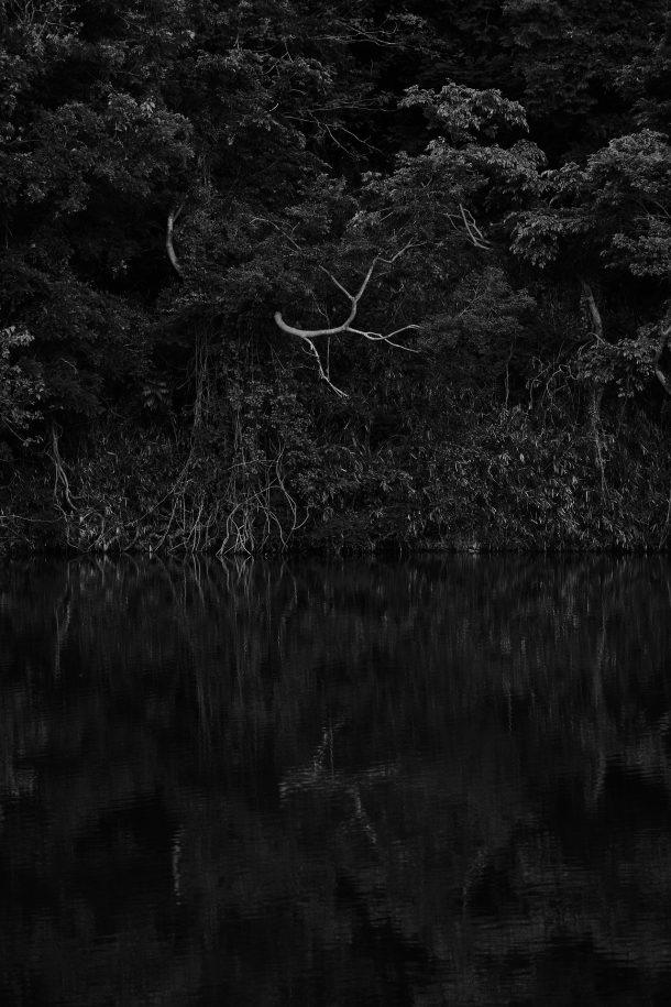 生成AIーGemini-2.5-Pro-Expーによる『審問官　Ⅰ』の要約