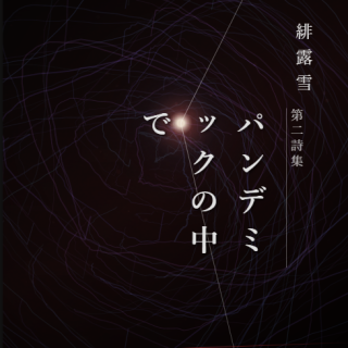 第二詩集『ハンデミックの中で』
